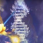 Thái tử Bồ Tát Thường Hộ Minh lập ra Đạo Phật