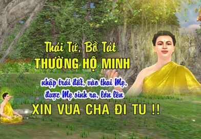 Kinh Vô Tự – Thái tử Tất Đạt Đa xin Vua cha đi Tu