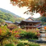 Lịch sử Phật Giáo Hàn Quốc